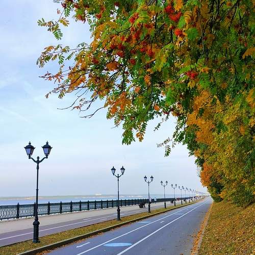 Photo #12033894