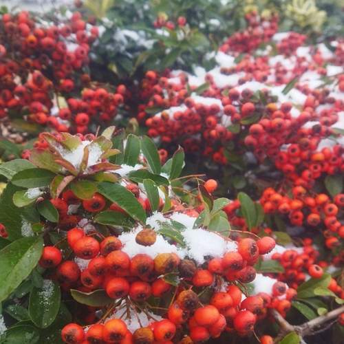 Photo #12033905