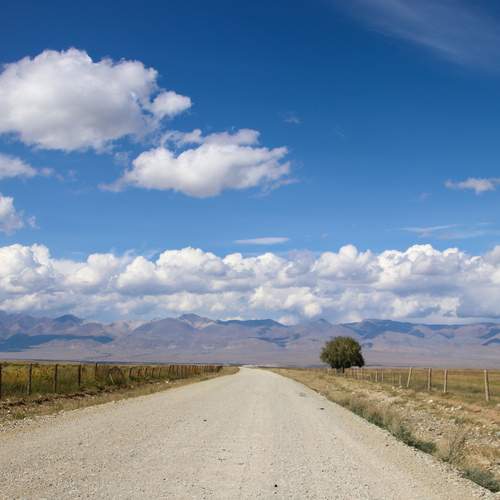 Photo #12033920