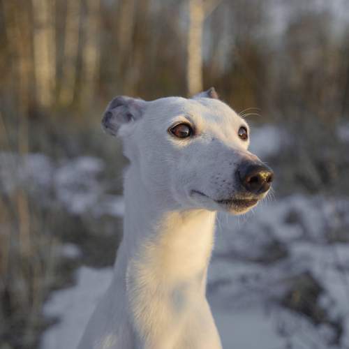 Photo #12033957