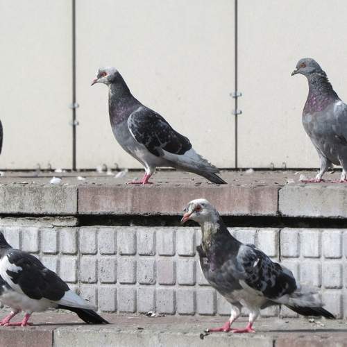 Photo #12034119