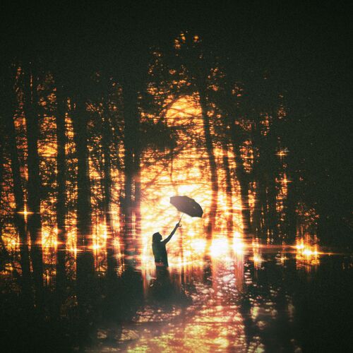 Photo #12034145