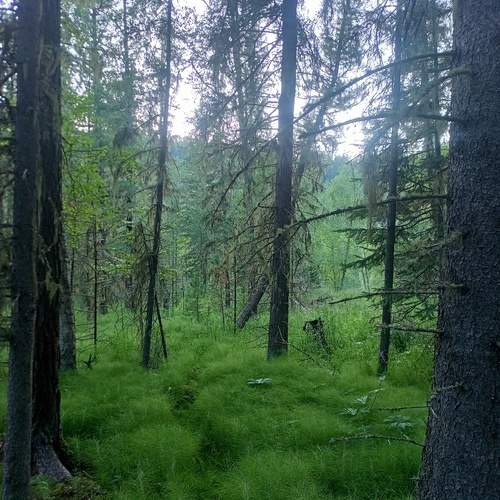 Photo #12034452