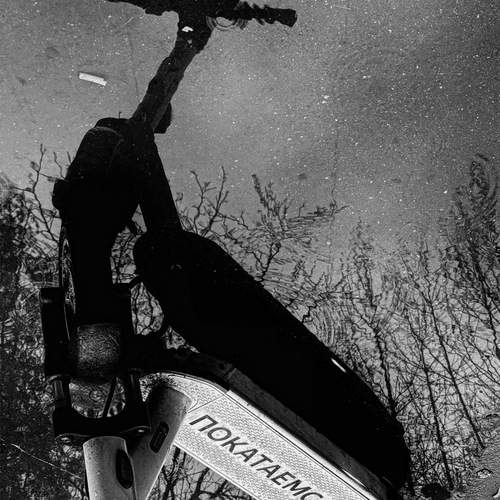 Photo #12034490