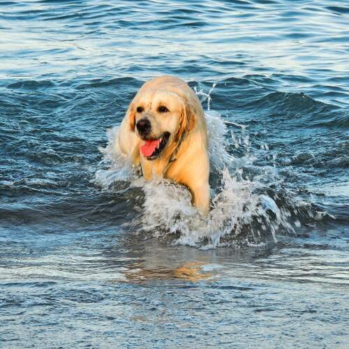 Photo #12034559