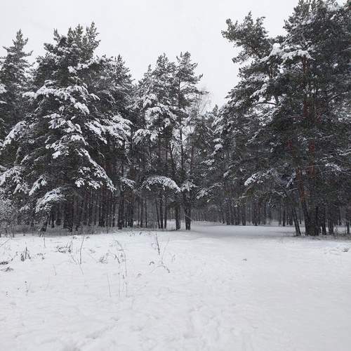 Photo #12034561