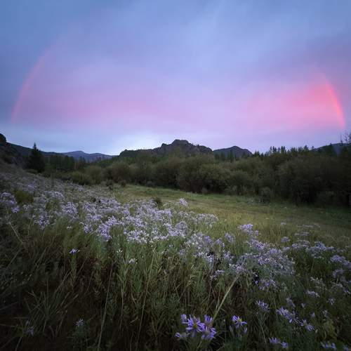 Photo #12034673