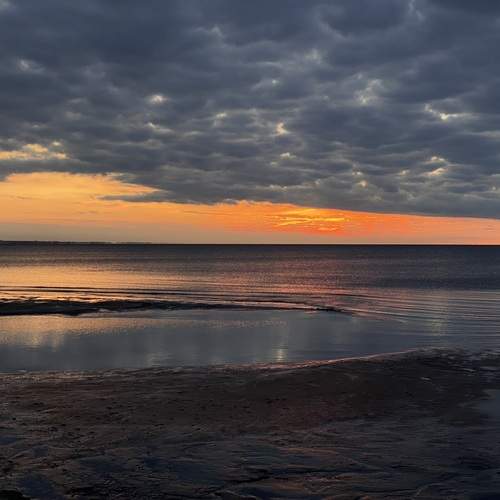 Photo #12034717