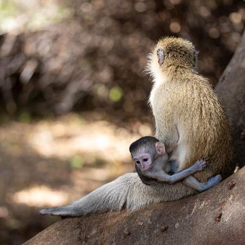 Photo #12034810