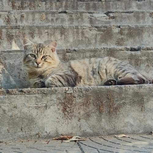 Photo #12034891