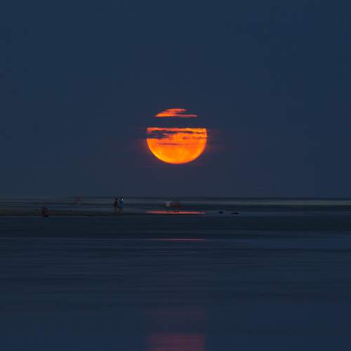 Moon Light