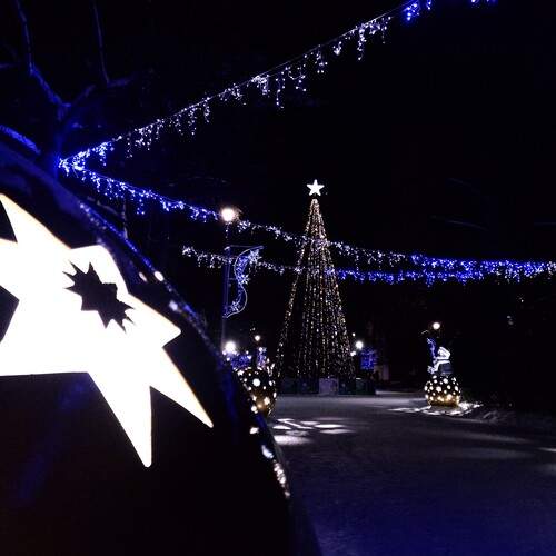 Photo #12034943