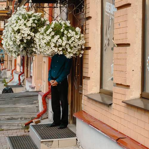 Photo #12035000