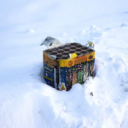 Photo #12035229