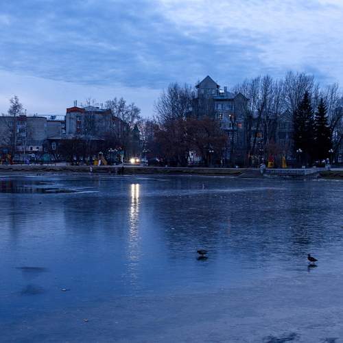 Photo #12035352