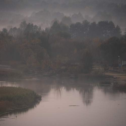 Photo #12035384