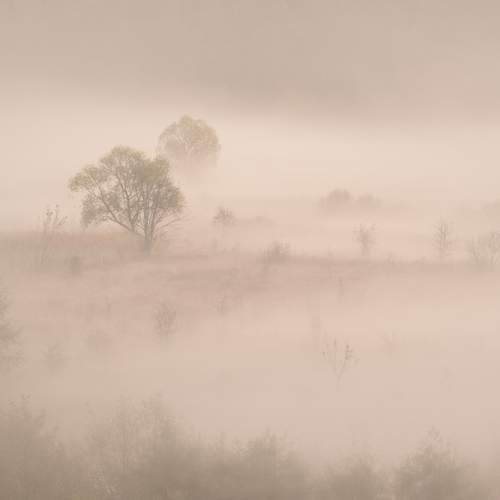 Photo #12035421