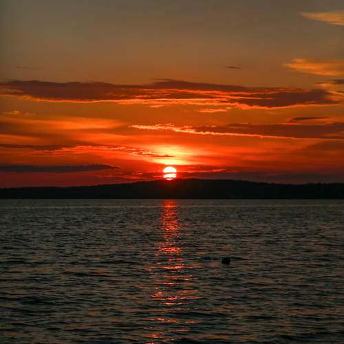 Photo #12035422