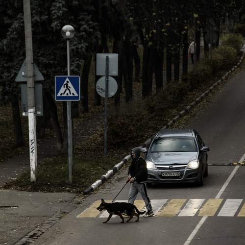 Photo #12035532