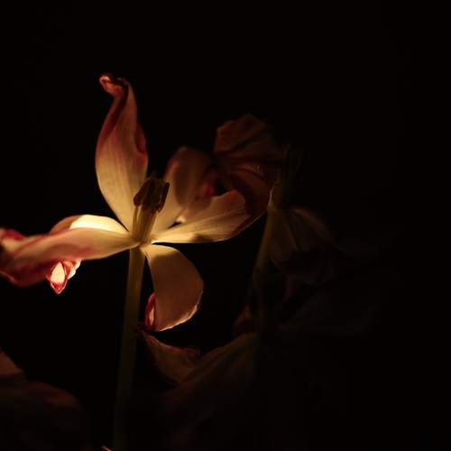 Photo #12035562