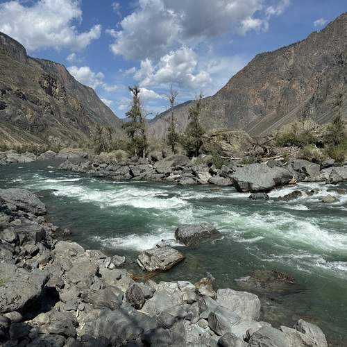Photo #12035682