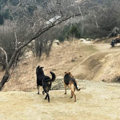 Photo #12035779