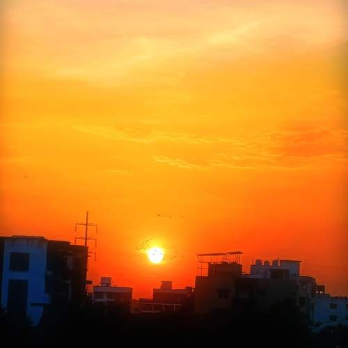 Photo #12035826
