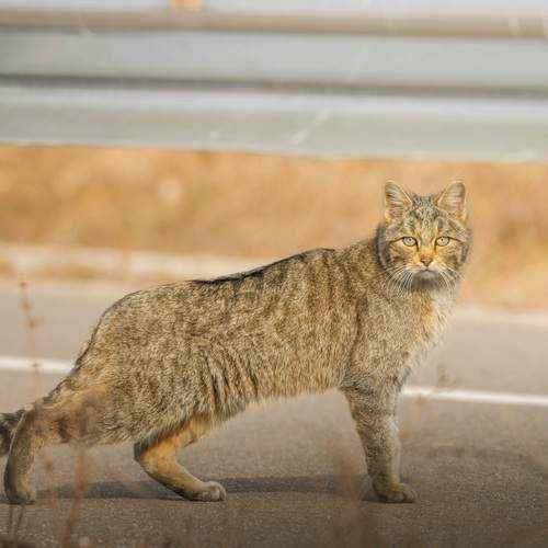 Photo #12035859