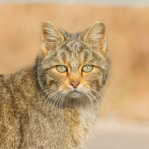 Photo #12035927