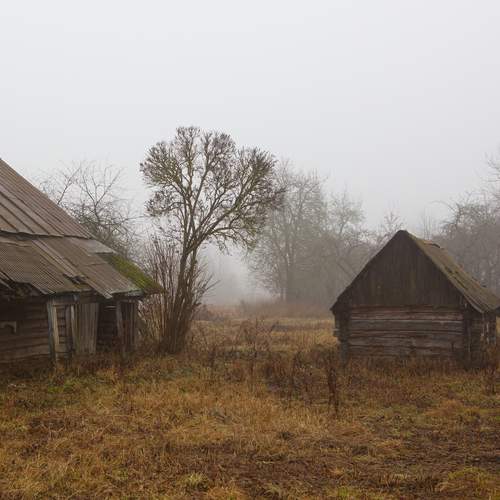 Photo #12036024