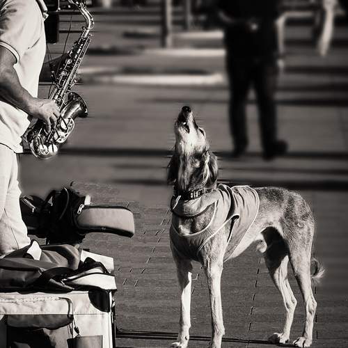 Photo #12036107