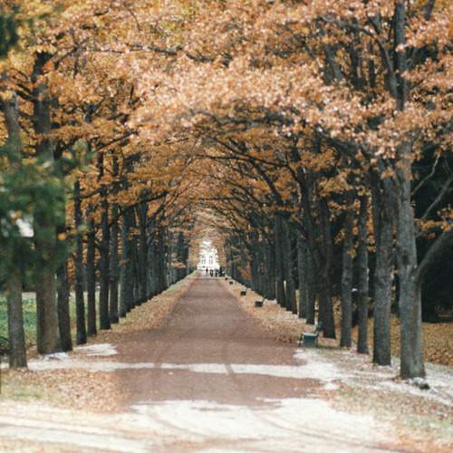 Photo #12036266