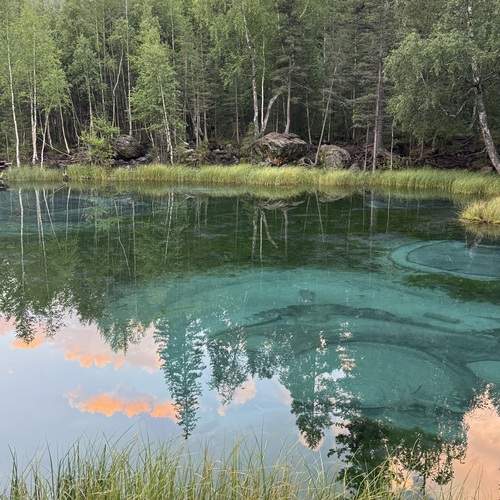 Photo #12036376
