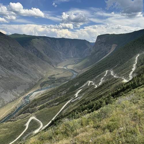 Photo #12036432