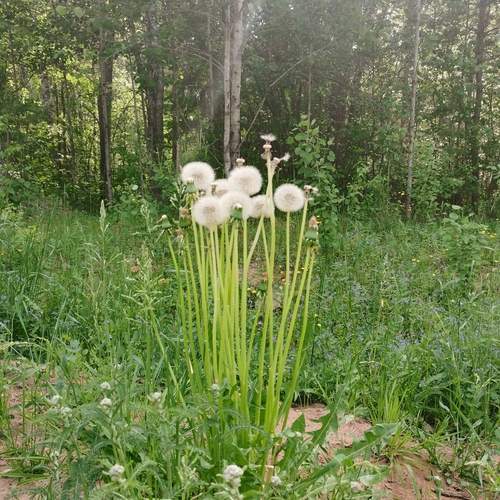Photo #12036441
