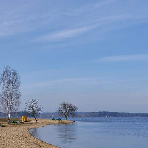 Photo #12036505