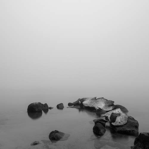 Фотография #12036554