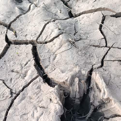 Photo #12036563