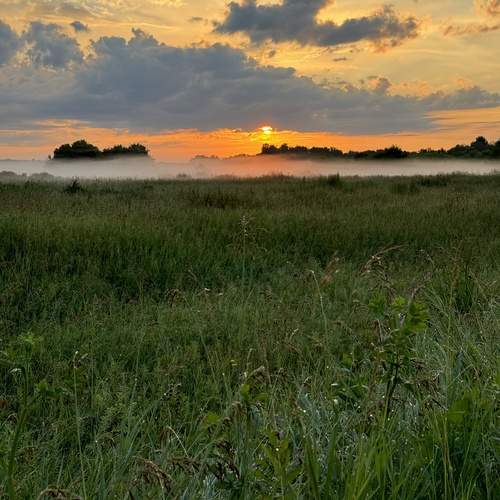 Photo #12036653
