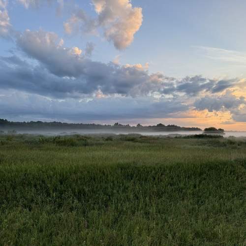 Photo #12036655