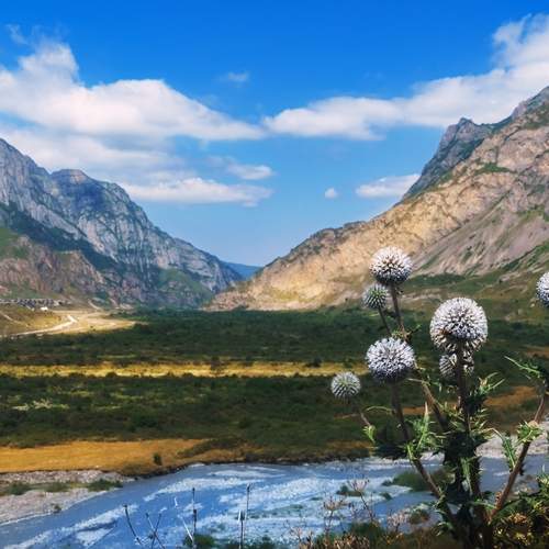Photo #12036662