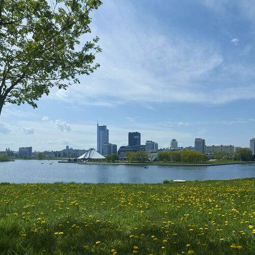 Photo #12036663