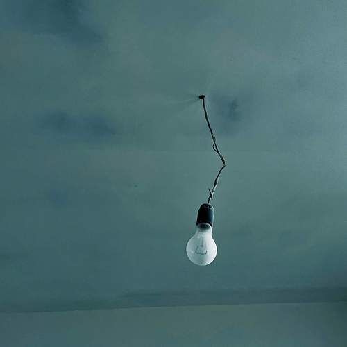 Photo #12036706
