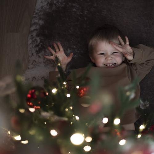 Photo #12036723