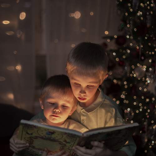 Photo #12036791