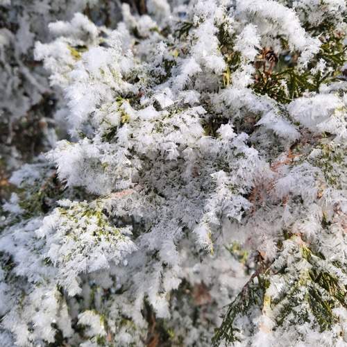 Photo #12036839