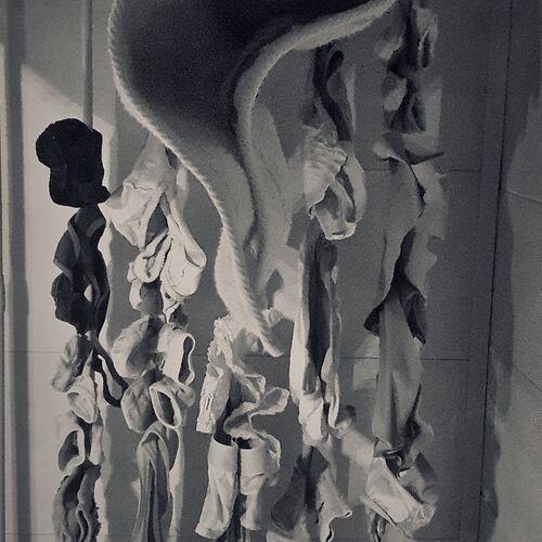 Photo #12036852