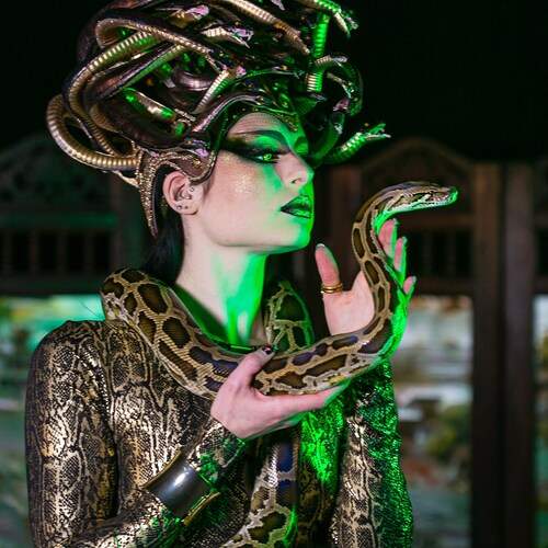 Photo #12036987