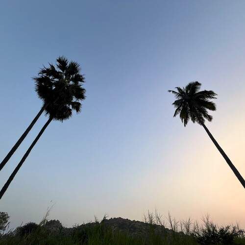 Photo #12037063