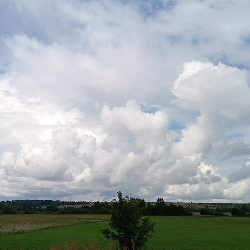 Photo #12037084